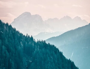 霍芬海姆疯狂进攻，逆转胜云达不来梅：一场足球史上的震撼之战