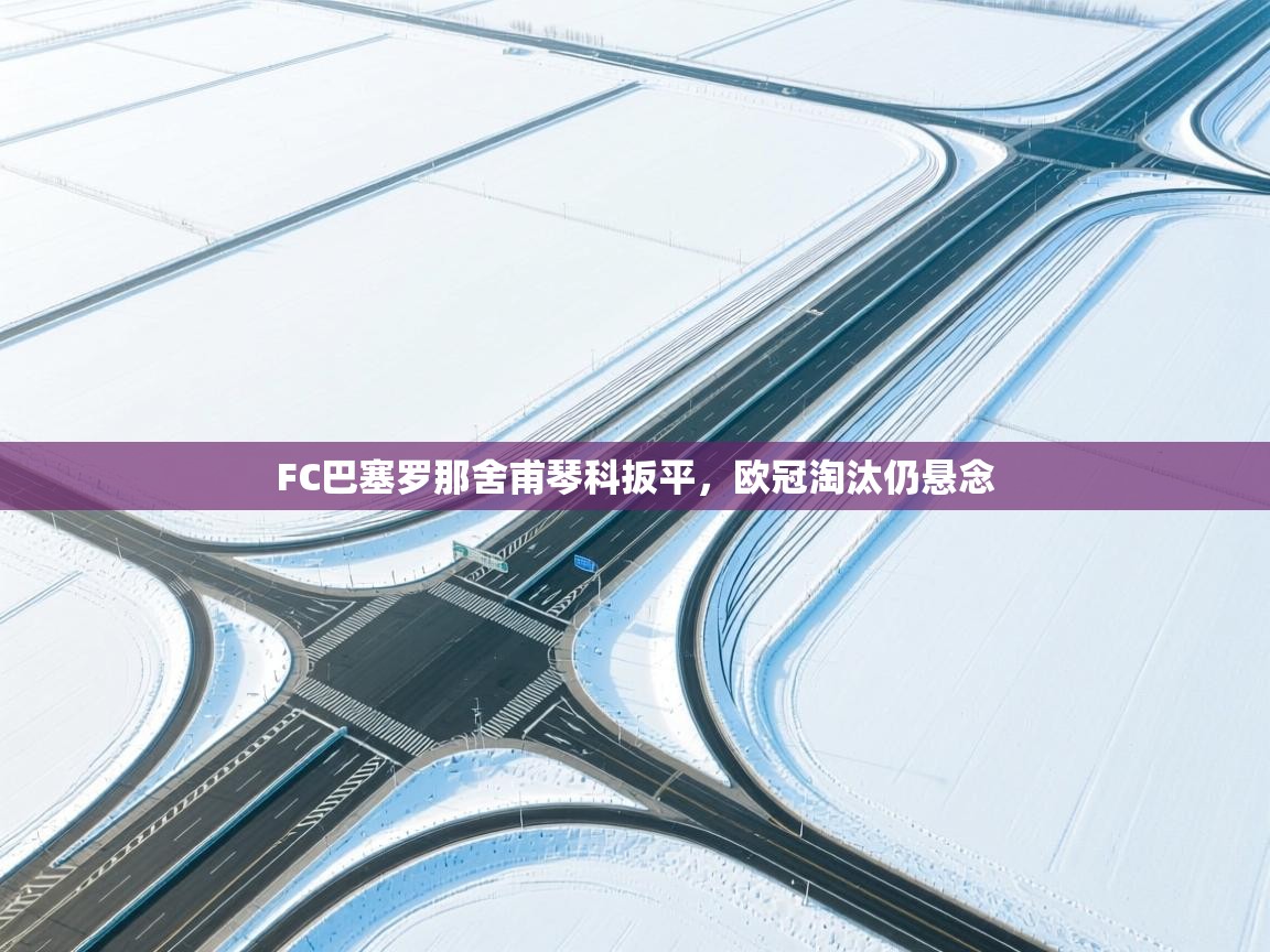 FC巴塞罗那舍甫琴科扳平,欧冠淘汰仍悬念 第1张