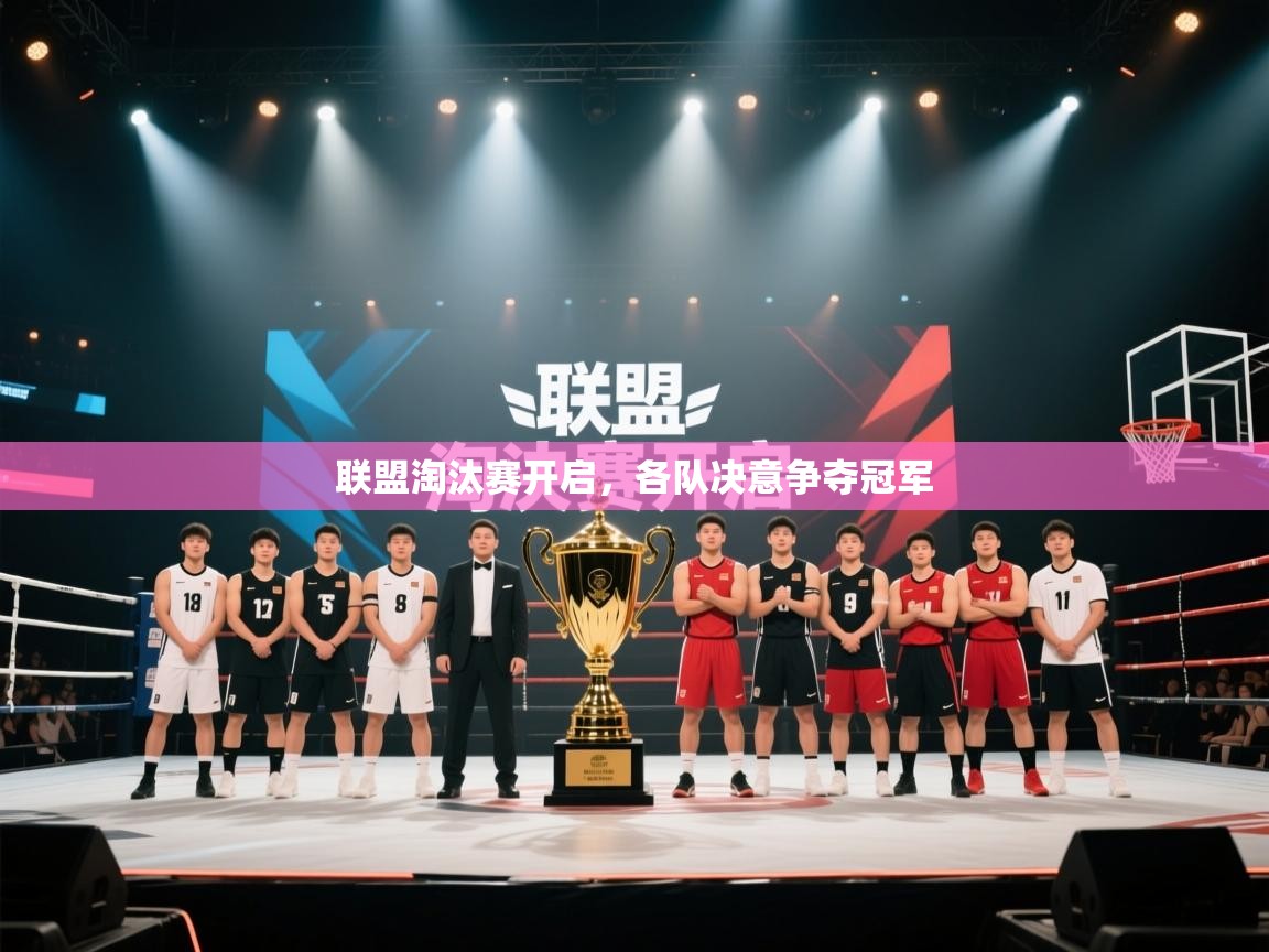 联盟淘汰赛开启，各队决意争夺冠军  第2张